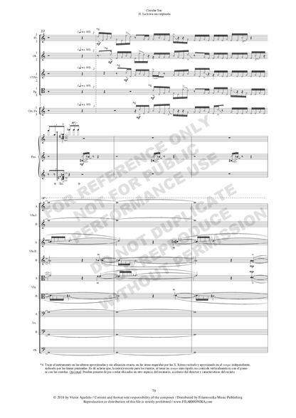 Circular Sur, for piano and orchestra