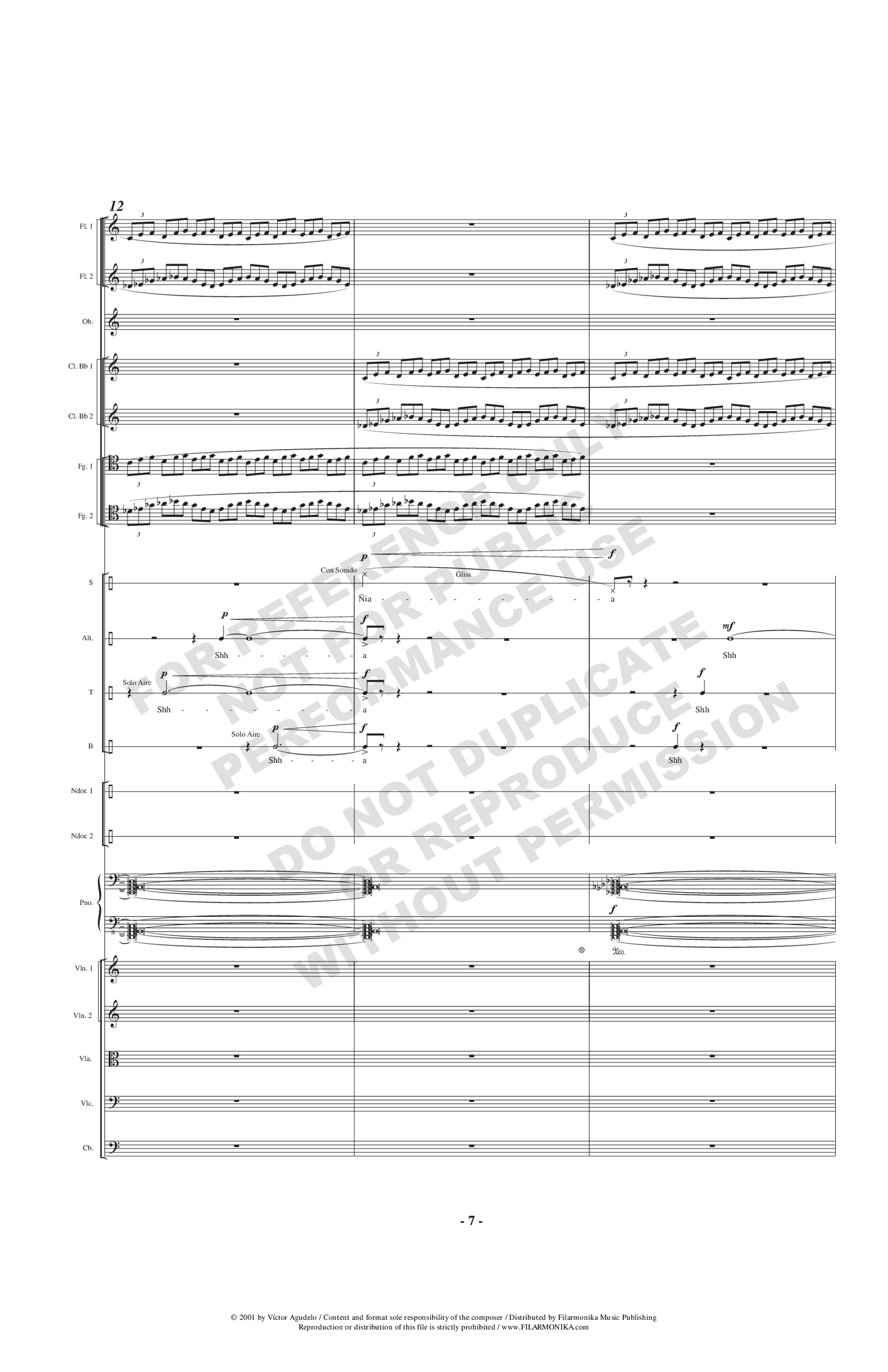 Sangre de hincha, for choir and ensemble