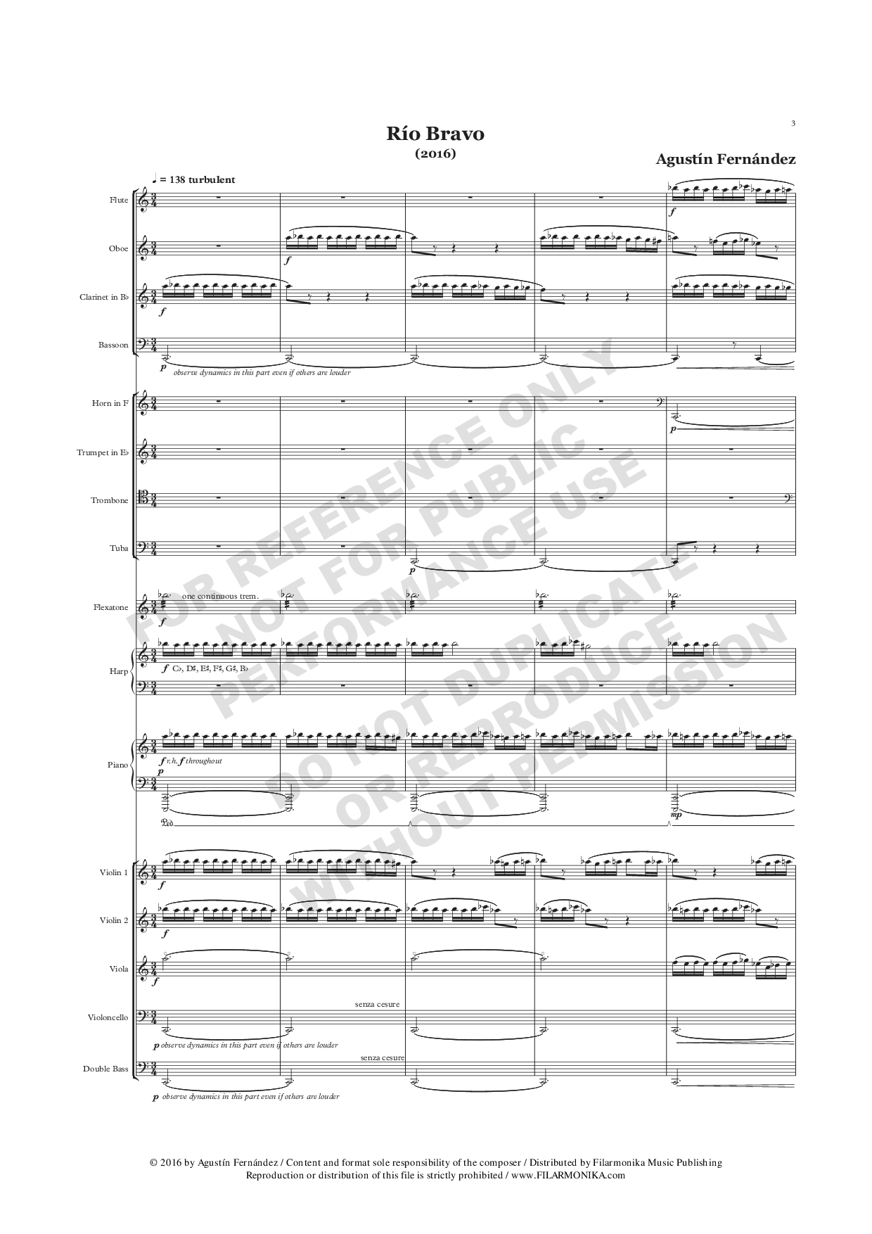 Río Bravo, for ensemble