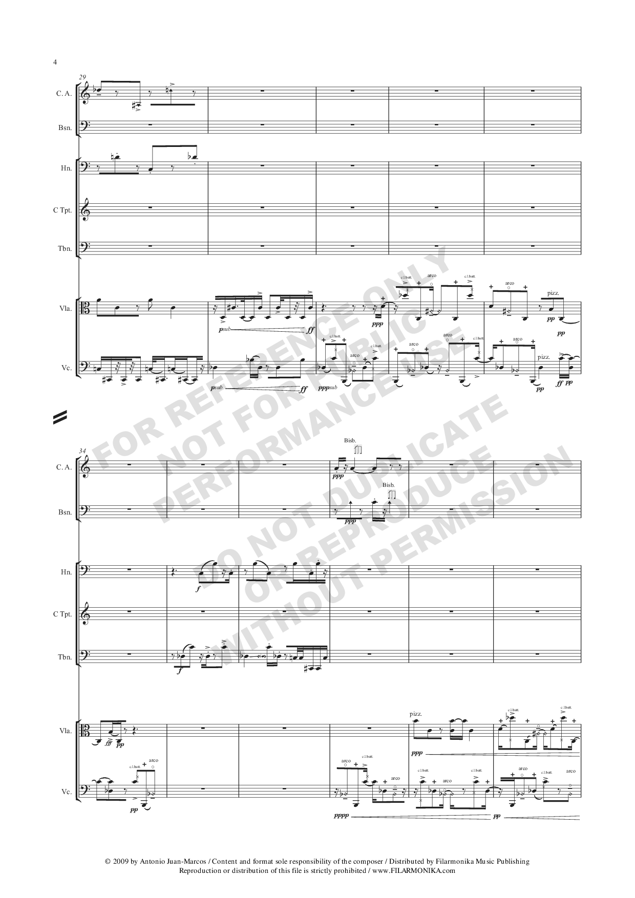 Canto empedrado, for ensemble