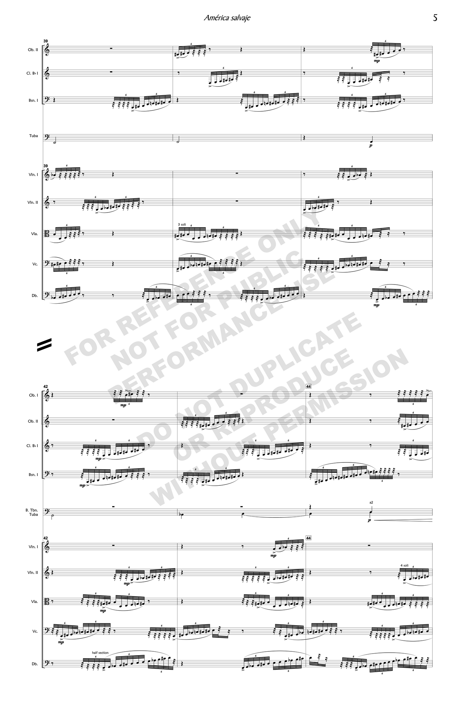 América salvaje, for orchestra