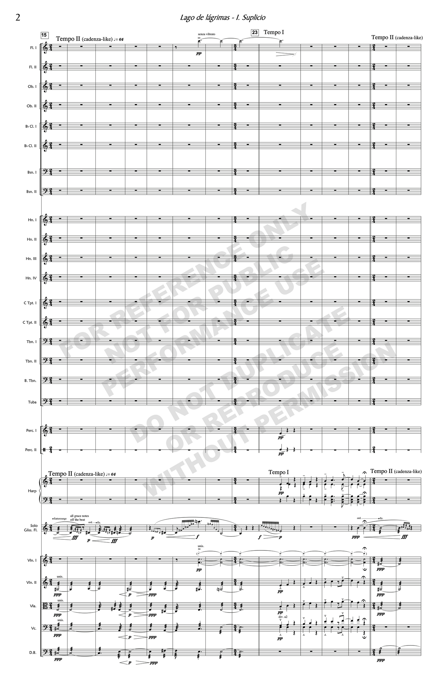 Lago de lágrimas, for flute and orchestra