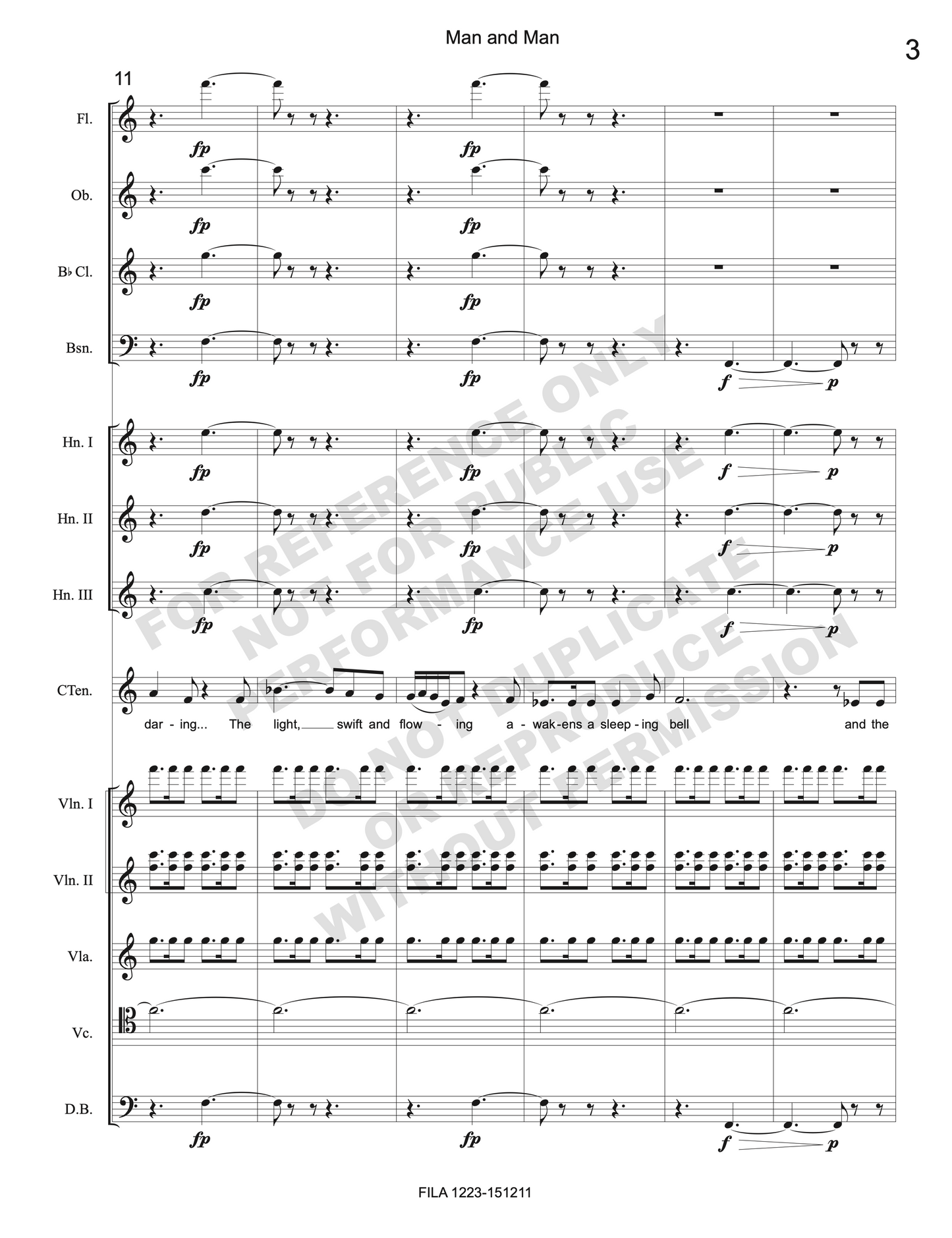 Man and man, for countertenor and ensemble