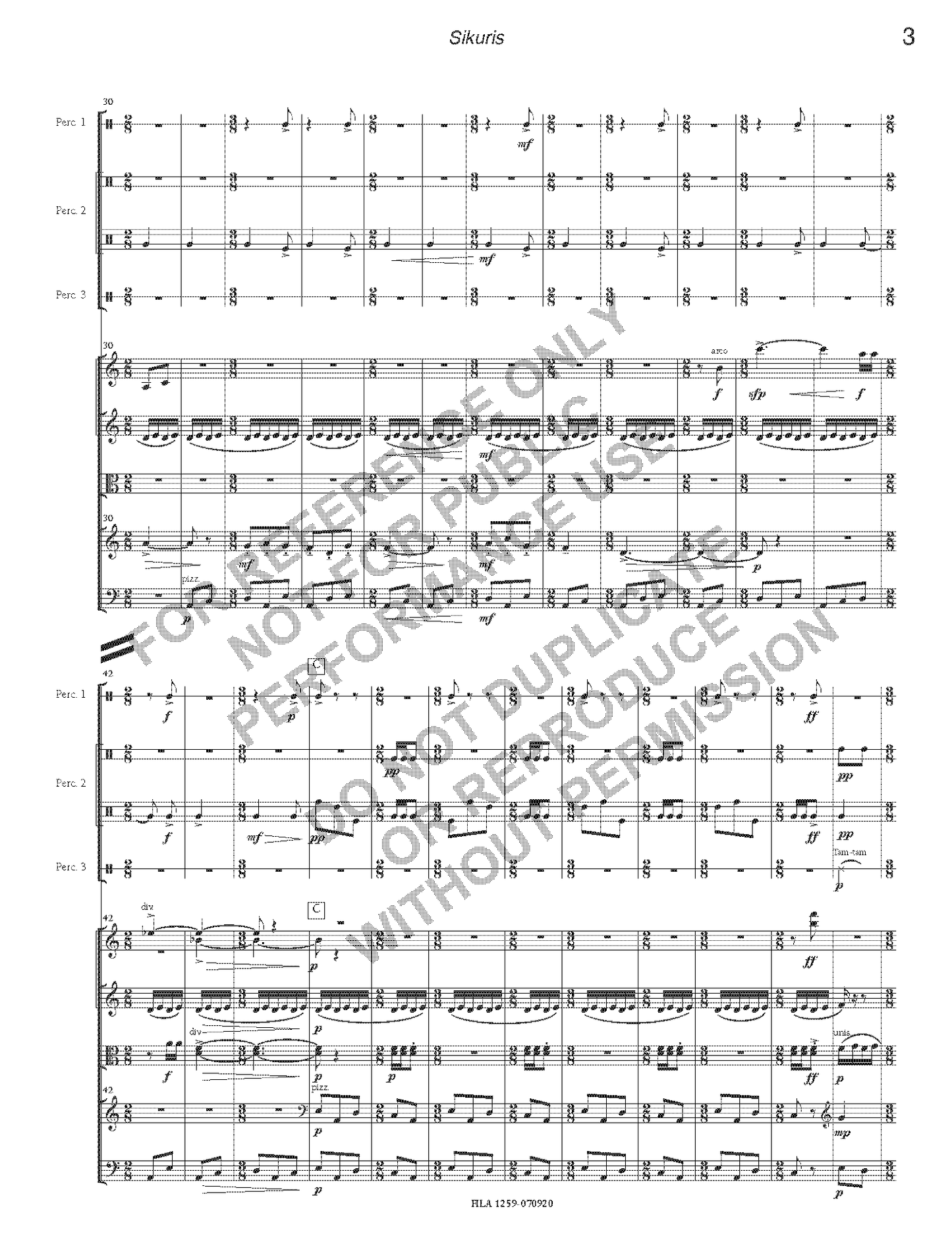 Sikuris, for strings and percussion