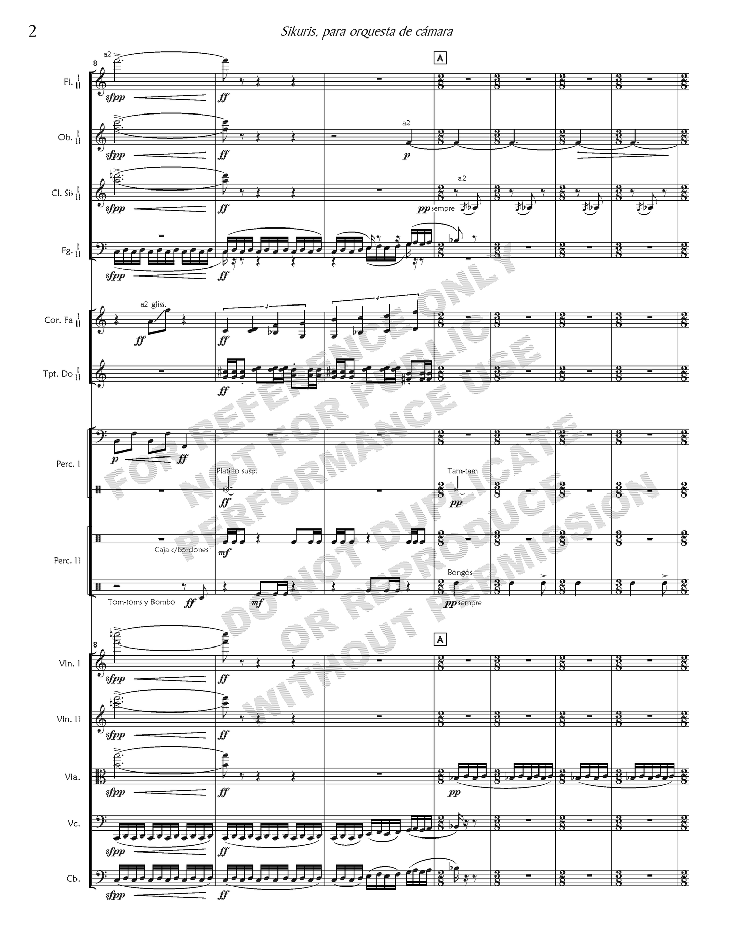 Sikuris, for chamber orchestra