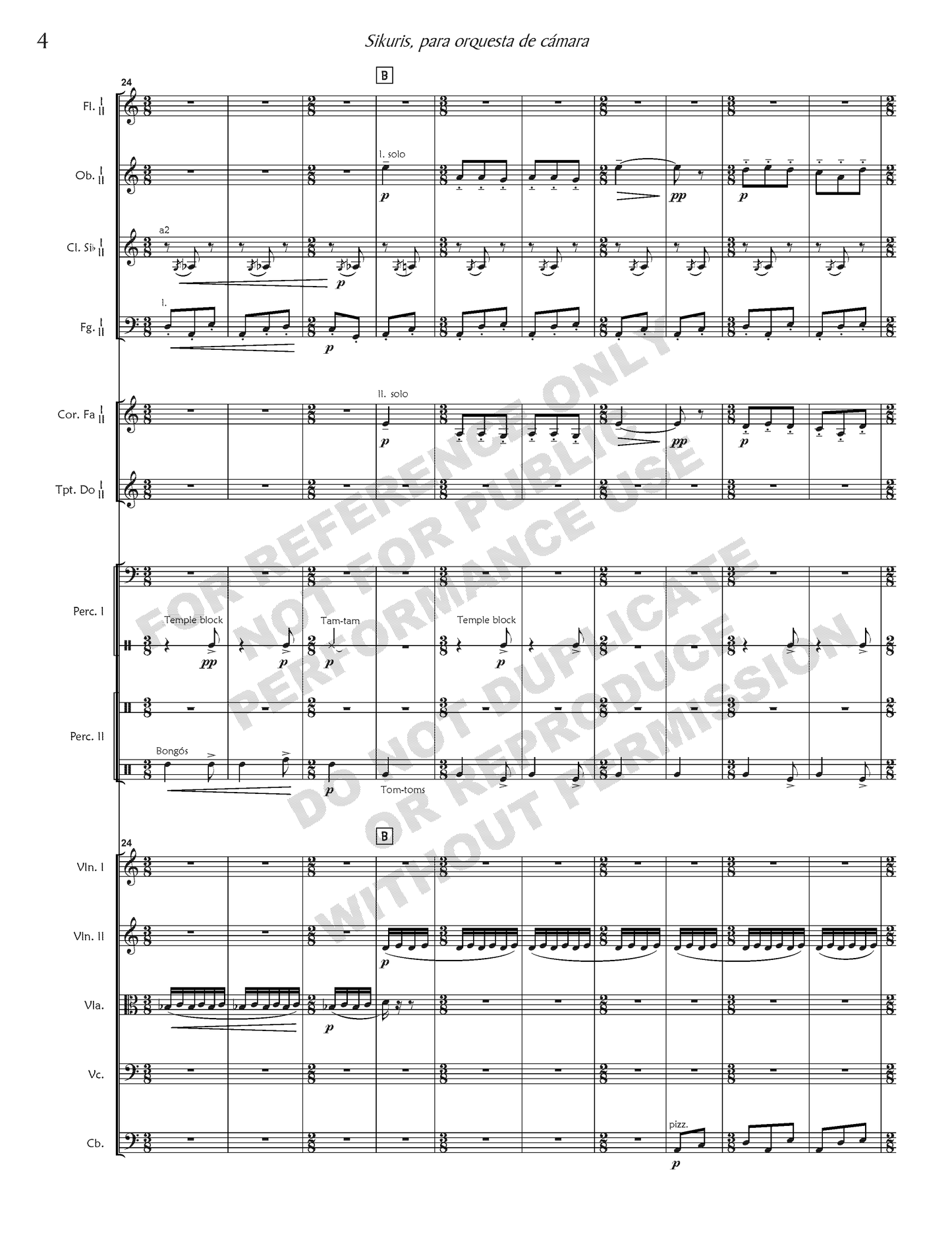 Sikuris, for chamber orchestra