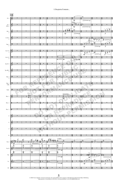 Cuna de cartón, for choir and orchestra
