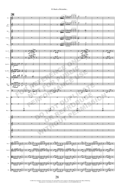 Cuna de cartón, for choir and orchestra