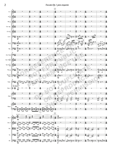 Tocatta Op. 1, for orchestra