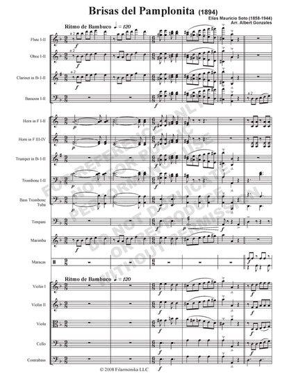 Brisas del Pamplonita (arr. Gonzales)