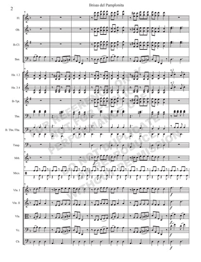 Brisas del Pamplonita (arr. Gonzales)