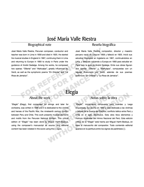 Elegía, for orchestra