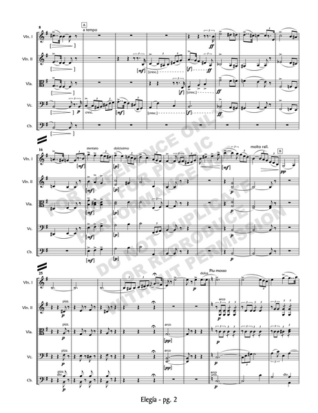Elegía, for orchestra