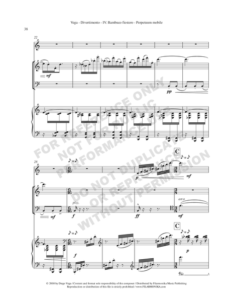Anche clarinette Plasticover by d'Addario Force 4 - L'Atelier du Piano